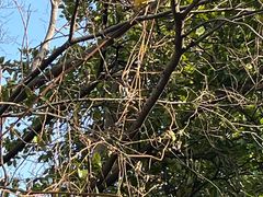 -上海蔡元培故居陈列馆