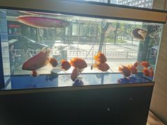 -宝岛眼镜(杭州万塘路旗舰店)