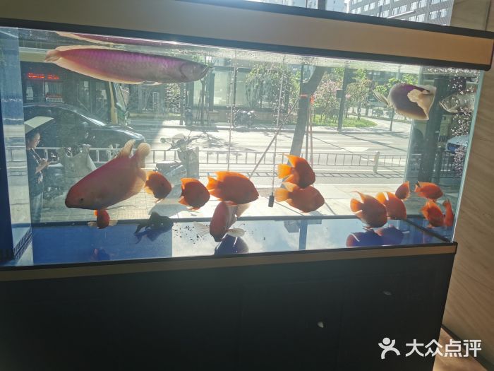 宝岛眼镜(杭州万塘路旗舰店)图片