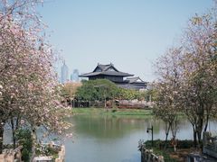 -海珠湖公园