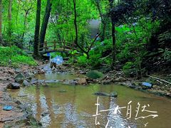 -火炉山森林公园