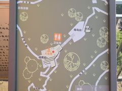 -大金鹰园