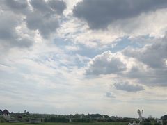 -空港花田景区