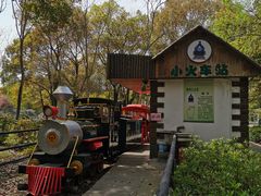 -共青国家森林公园-售票处
