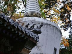 -潭柘寺景区