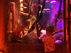 -沈阳海洋探索中心