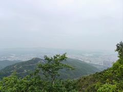 -阳台山森林公园
