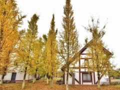 -太阳岛度假酒店