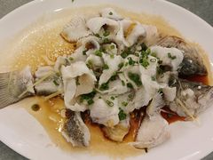 仙泉湖鲈鱼-黄埔华苑酒家(黄埔店)