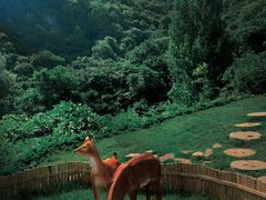 -焦作青龙峡风景名胜区