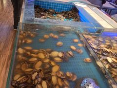 -万象·复兴号鲜肉烤肉海鲜自助(升级店)