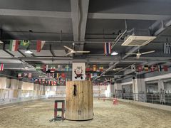 -李振强马术运动推广中心(南城店)