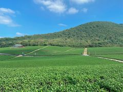 -雅达·阳羡溪山小镇中心