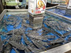 -盒马鲜生(莱蒙都会店)