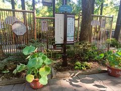 -上海醉白池公园
