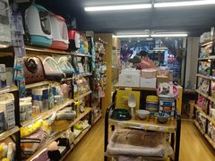 -袖虎宠物·金渐层缅因猫舍(灵芝店)