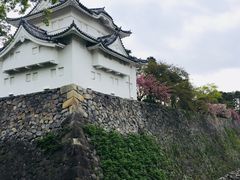 -名古屋城