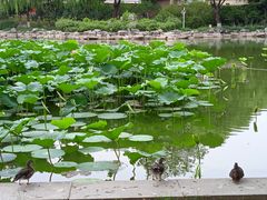 -中国农业博物馆
