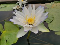 -华南国家植物园-售票处