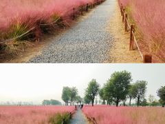 -汉长安城未央宫国家考古遗址公园