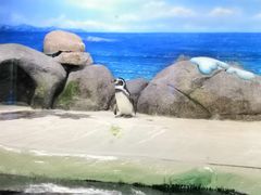 -厦门海底世界