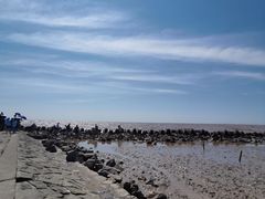 -南汇嘴观海公园