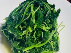 -席家花园(巨鹿花园店)