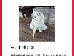 -守诺宠物医院·眼科· 特色牙科·异宠专科(虹口店)
