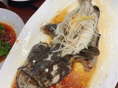 -全聚德烤鸭店(准噶尔路店)