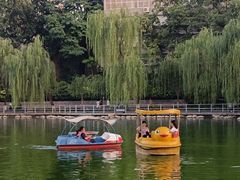 -莲湖公园