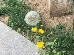 -素心小筑(后沙裕镇店)