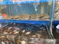 水产区-蟹谢蒸鲜自助餐厅