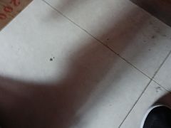 -龙师傅卤炒(天马店)