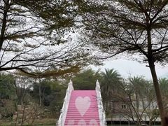-田野绿世界
