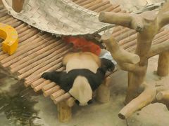 -沈阳森林动物园