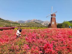 -西海岸生态观光园