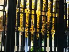 -八分饱·西津会(西津渡店)