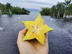 -三亚太阳湾柏悦酒店