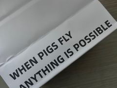 -WHEN PIGS FLY当猪飞