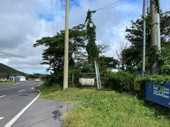 -济州森林小火车生态公园