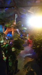 -恐龙探索乐园(磁器口店)