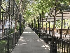 -鲤鱼山公园