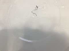 -秦香陕西食府(华贸天地店)