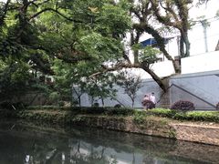 -桂林灵渠景区