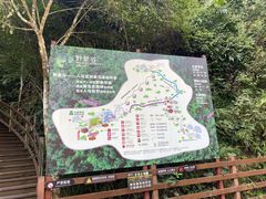 -野象谷景区