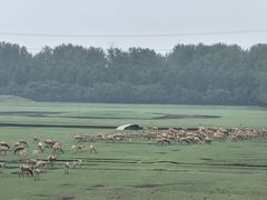 -溱湖国家湿地公园