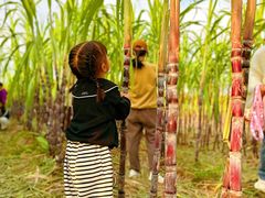 -汉长安城未央宫国家考古遗址公园