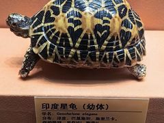 -天津自然博物馆