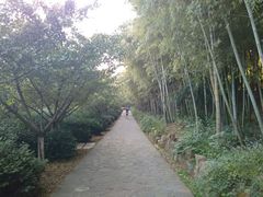 android_upload_pic-旺山景区