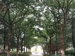 -白塘生态植物园